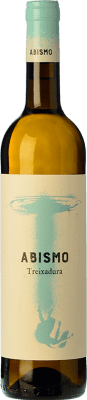 10,95 € Free Shipping | White Wine Terrae Abismo D.O. Ribeiro Galicia Spain Treixadura 75 cl