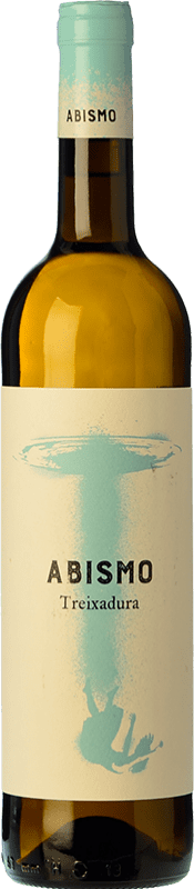 9,95 € Envío gratis | Vino blanco Terrae Abismo D.O. Ribeiro Galicia España Treixadura Botella 75 cl