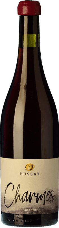 19,95 € Free Shipping | Red Wine Holass Bussay Zala Hungary Pinot Noir 75 cl