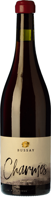 18,95 € Envío gratis | Vino tinto Holass Bussay Zala Hungría Pinot Negro Botella 75 cl