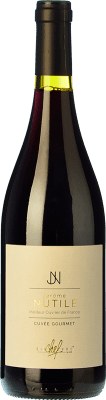 16,95 € Envío gratis | Vino Tinto Wines and Brands Jerome Nutile Gourmet Cuvée A.O.C. Corbières Languedoc Francia Syrah, Garnacha, Cariñena 75 cl