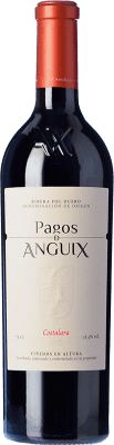 28,95 € Бесплатная доставка | Красное вино Pagos de Anguix Costalara D.O. Ribera del Duero Кастилия-Леон Испания Tempranillo бутылка 75 cl