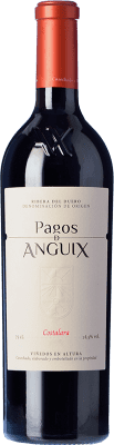 25,95 € 免费送货 | 红酒 Pagos de Anguix Costalara D.O. Ribera del Duero 卡斯蒂利亚莱昂 西班牙 Tempranillo 瓶子 75 cl