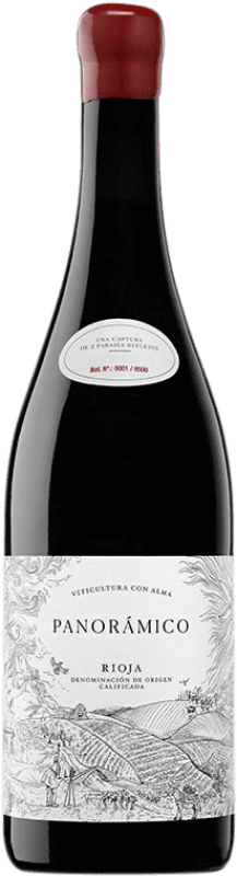 19,95 € Free Shipping | Red wine Vinos del Panorámico D.O.Ca. Rioja The Rioja Spain Tempranillo, Grenache Bottle 75 cl