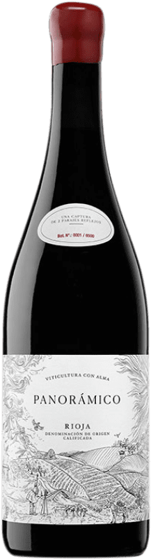 21,95 € Envío gratis | Vino tinto Vinos del Panorámico D.O.Ca. Rioja La Rioja España Tempranillo, Garnacha Botella 75 cl