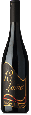 24,95 € Бесплатная доставка | Красное вино San Ruggiero 13 Lame I.G.T. Puglia Апулия Италия Nero di Troia бутылка 75 cl