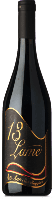 25,95 € Envio grátis | Vinho Tinto San Ruggiero 13 Lame I.G.T. Puglia Puglia Itália Nero di Troia 75 cl
