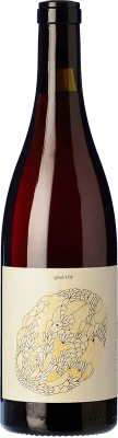 28,95 € Бесплатная доставка | Красное вино Vinyes Tortuga Doolittle Испания Barbera бутылка 75 cl