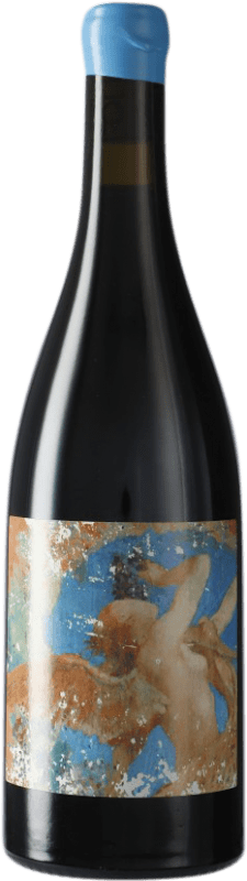 51,95 € Spedizione Gratuita | Vino rosso Domaine de l'Écu Ange A.O.C. Muscadet-Sèvre et Maine Loire Francia Pinot Nero Bottiglia 75 cl