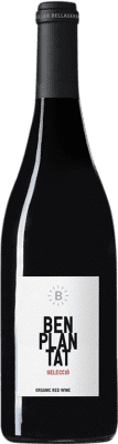 9,95 € Envío gratis | Vino tinto Bellaserra Benplantat Negre Selecció España Merlot, Picapoll Negro Botella 75 cl