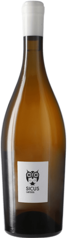 25,95 € Envoi gratuit | Vin blanc Sicus Cartoixà Àmfora D.O. Penedès Catalogne Espagne Xarel·lo Biologique Bouteille 75 cl