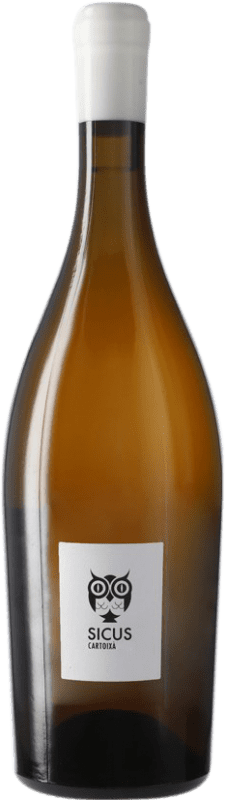 19,95 € Spedizione Gratuita | Vino bianco Sicus Cartoixà Àmfora D.O. Penedès Catalogna Spagna Xarel·lo Bottiglia 75 cl