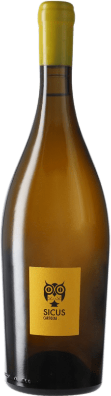 26,95 € Envoi gratuit | Vin blanc Sicus Cartoixà Brisat D.O. Penedès Catalogne Espagne Xarel·lo Biologique Bouteille 75 cl
