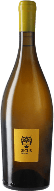 24,95 € Spedizione Gratuita | Vino bianco Sicus Cartoixà Brisat D.O. Penedès Catalogna Spagna Xarel·lo Bottiglia 75 cl