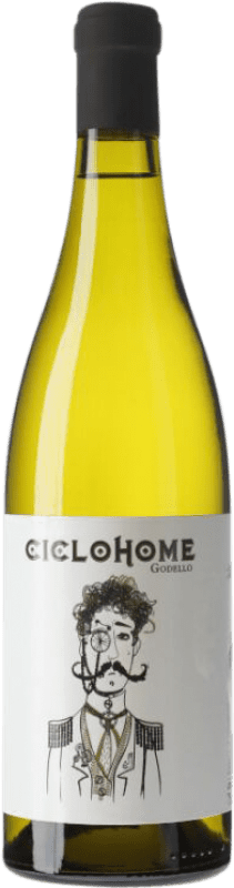 25,95 € Envío gratis | Vino blanco Auténticos Viñadores Ciclohome D.O. Ribeiro Galicia España Godello Botella 75 cl