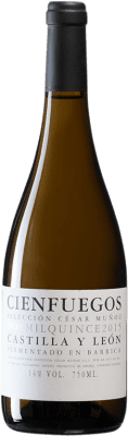 22,95 € Envío gratis | Vino blanco César Muñoz Cienfuegos I.G.P. Vino de la Tierra de Castilla y León Castilla y León España Godello, Verdejo, Albarín Botella 75 cl