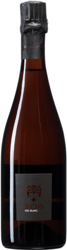 31,95 € 免费送货 | 白起泡酒 Sicus Cru Blanc D.O. Penedès 加泰罗尼亚 西班牙 Xarel·lo 瓶子 75 cl