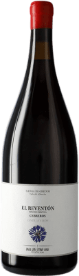 815,95 € 免费送货 | 红葡萄酒 Landi El Reventón I.G.P. Vino de la Tierra de Castilla y León 卡斯蒂利亚莱昂 西班牙 大瓶 — Magnum 1,5 L