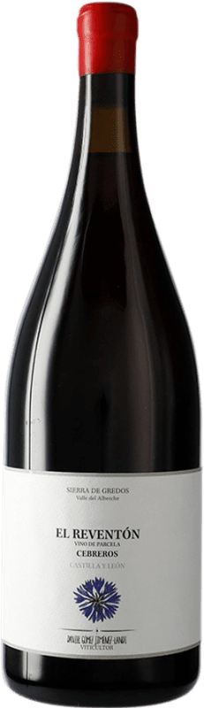 175,95 € Free Shipping | Red wine Landi El Reventón I.G.P. Vino de la Tierra de Castilla y León Castilla y León Spain Magnum Bottle 1,5 L