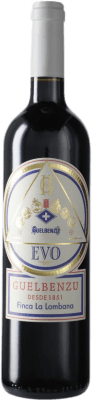 13,95 € Envío gratis | Vino tinto Guelbenzu Evo D.O. Navarra Navarra España Botella 75 cl
