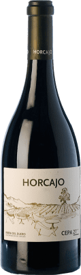 95,95 € Бесплатная доставка | Красное вино Cepa 21 Horcajo D.O. Ribera del Duero Кастилия-Леон Испания Tempranillo бутылка 75 cl