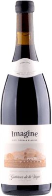 35,95 € Envio grátis | Vinho tinto Gutiérrez de la Vega Imagine D.O. Alicante Espanha Garrafa 75 cl