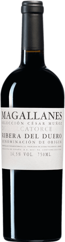 29,95 € Envío gratis | Vino tinto César Muñoz Magallanes D.O. Ribera del Duero Castilla y León España Tempranillo Botella 75 cl