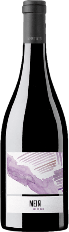 39,95 € Envío gratis | Vino Tinto Viña Meín D.O. Ribeiro Galicia España 75 cl