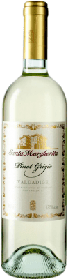 19,95 € Envío gratis | Vino blanco Santa Margherita I.G.T. Veneto Veneto Italia Pinot Gris Botella 75 cl