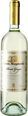 14,95 € Envio grátis | Vinho Branco Santa Margherita I.G.T. Veneto Vêneto Itália Pinot Cinzento 75 cl