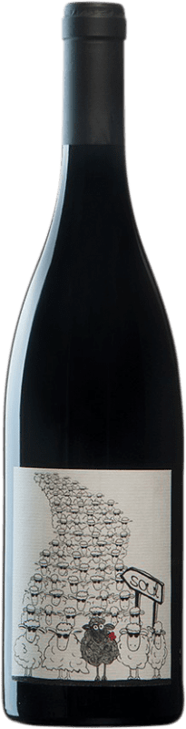 29,95 € Spedizione Gratuita | Vino Rosso Lagar de Sabaríz Soul do Costiña Spagna Mencía, Sousón — Sousão, Ferrol Eco — Biologico 75 cl