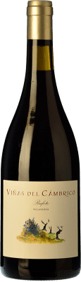 14,95 € Free Shipping | Red wine Cámbrico Viñas del Cámbrico Villanueva I.G.P. Vino de la Tierra de Castilla y León Castilla y León Spain Tempranillo, Grenache, Rufete Bottle 75 cl