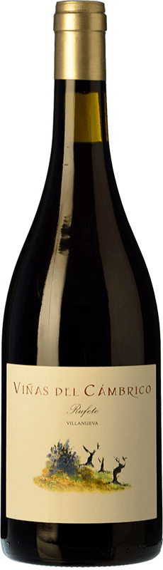 16,95 € Envoi gratuit | Vin Rouge Cámbrico Viñas Villanueva I.G.P. Vino de la Tierra de Castilla y León Castille et Leon Espagne Tempranillo, Garnacha — Grenache, Rufete Bouteille 75 cl