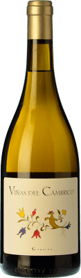 19,95 € 免费送货 | 白酒 Cámbrico Viñas I.G.P. Vino de la Tierra de Castilla y León 卡斯蒂利亚莱昂 西班牙 Rufete White 瓶子 75 cl