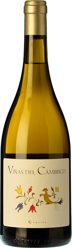 35,95 € Envío gratis | Vino Blanco Cámbrico Viñas I.G.P. Vino de la Tierra de Castilla y León Castilla y León España Rufete Botella 75 cl