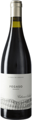 29,95 € Free Shipping | Red wine Telmo Rodríguez Viñas Viejas de Pegaso Granito I.G.P. Vino de la Tierra de Castilla y León Castilla y León Spain Grenache Bottle 75 cl