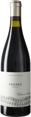 Telmo Rodríguez Pegaso Granito Garnacha — 歌海娜 VV Viñas Viejas — 老藤 75 cl