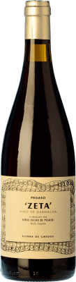 22,95 € Spedizione Gratuita | Vino Rosso Telmo Rodríguez Pegaso Zeta VV Viñas Viejas — Vigne Vecchie I.G.P. Vino de la Tierra de Castilla y León Castilla y León Spagna Garnacha — Grenache Bottiglia 75 cl