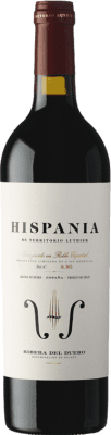 34,95 € Бесплатная доставка | Красное вино Territorio Luthier Hispania D.O. Ribera del Duero Кастилия-Леон Испания Tempranillo — Темпранильо, Garnacha — Гренаш, Albillo — Альбильо Бутылка 75 cl