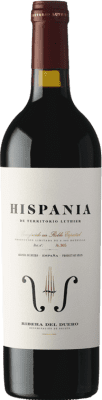 39,95 € Envoi gratuit | Vin rouge Territorio Luthier Hispania D.O. Ribera del Duero Castille et Leon Espagne Tempranillo, Grenache, Albillo Bouteille 75 cl