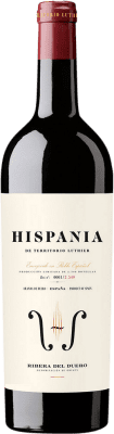 45,95 € 送料無料 | 赤ワイン Territorio Luthier Hispania D.O. Ribera del Duero カスティーリャ・イ・レオン スペイン Tempranillo — テンプラニーリョ, Garnacha — グルナッシュ, Albillo — アルビージョ 75 cl