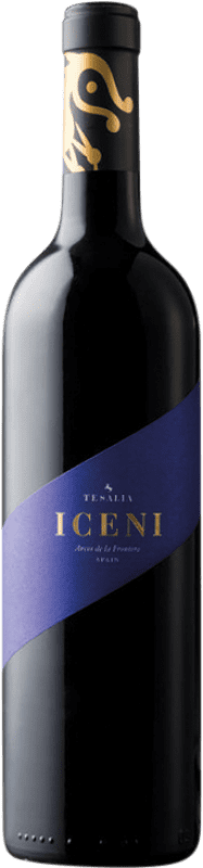 12,95 € Envío gratis | Vino tinto Tesalia Iceni I.G.P. Vino de la Tierra de Cádiz Andalucía España Syrah, Tintilla de Rota Botella 75 cl