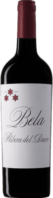 Norte de España - CVNE Bela 9 Meses Tempranillo Oak 1,5 L