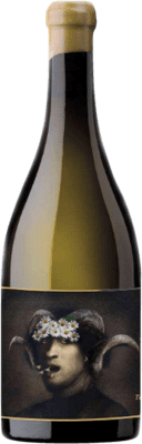 54,95 € Envio grátis | Vinho branco Terlegiz Jovem D.O. Bizkaiko Txakolina País Basco Espanha Garrafa 75 cl