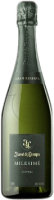 Juvé y Camps Millésimé Xarel·lo Brut Nature Grande Reserva 75 cl