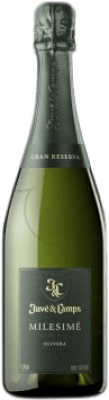 Juvé y Camps Xarel·lo Brut Nature Millésimé Große Reserve — Lange Reifung 75 cl