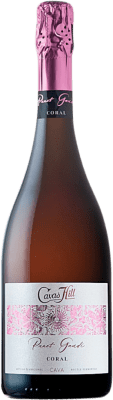 9,95 € 免费送货 | 玫瑰气泡酒 Hill Panot Gaudí Coral Rose Pálido 香槟 D.O. Cava 加泰罗尼亚 西班牙 瓶子 75 cl