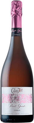 10,95 € 免费送货 | 玫瑰气泡酒 Hill Panot Gaudí Coral Rose Pálido 香槟 D.O. Cava 加泰罗尼亚 西班牙 瓶子 75 cl