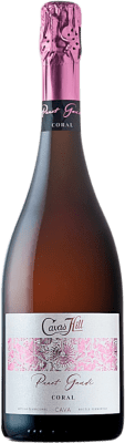 7,95 € Free Shipping | Rosé Sparkling Wine Hill Panot Gaudí Coral Pálido Brut Rosé D.O. Cava Catalonia Spain 75 cl