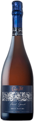 9,95 € Envio grátis | Espumante branco Hill Panot Gaudí Brut Nature D.O. Cava Catalunha Espanha Garrafa 75 cl